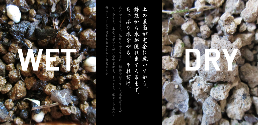 湿った土と乾いた土